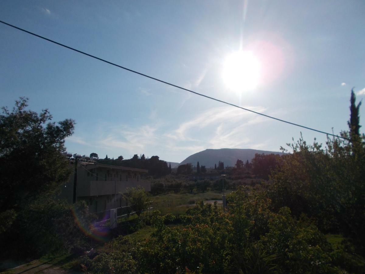 Summer Holidays In Laganas Apartments Kültér fotó
